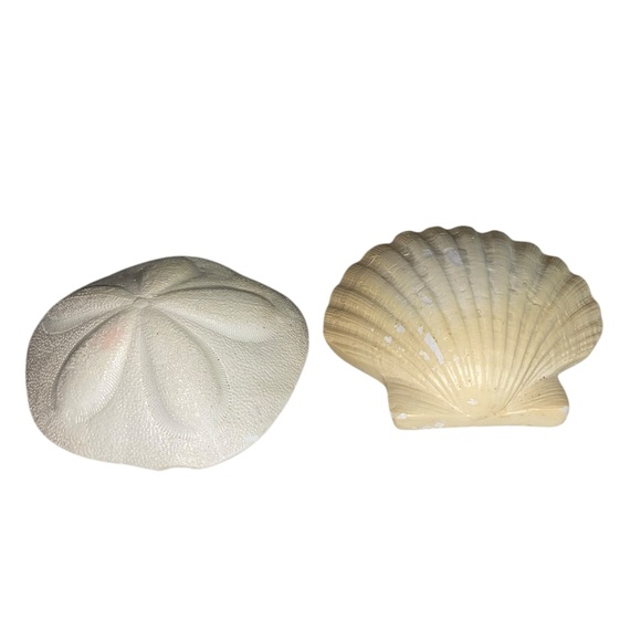 Sea Shell & Sea Biscuit Wall Decor - Picture 4 of 11